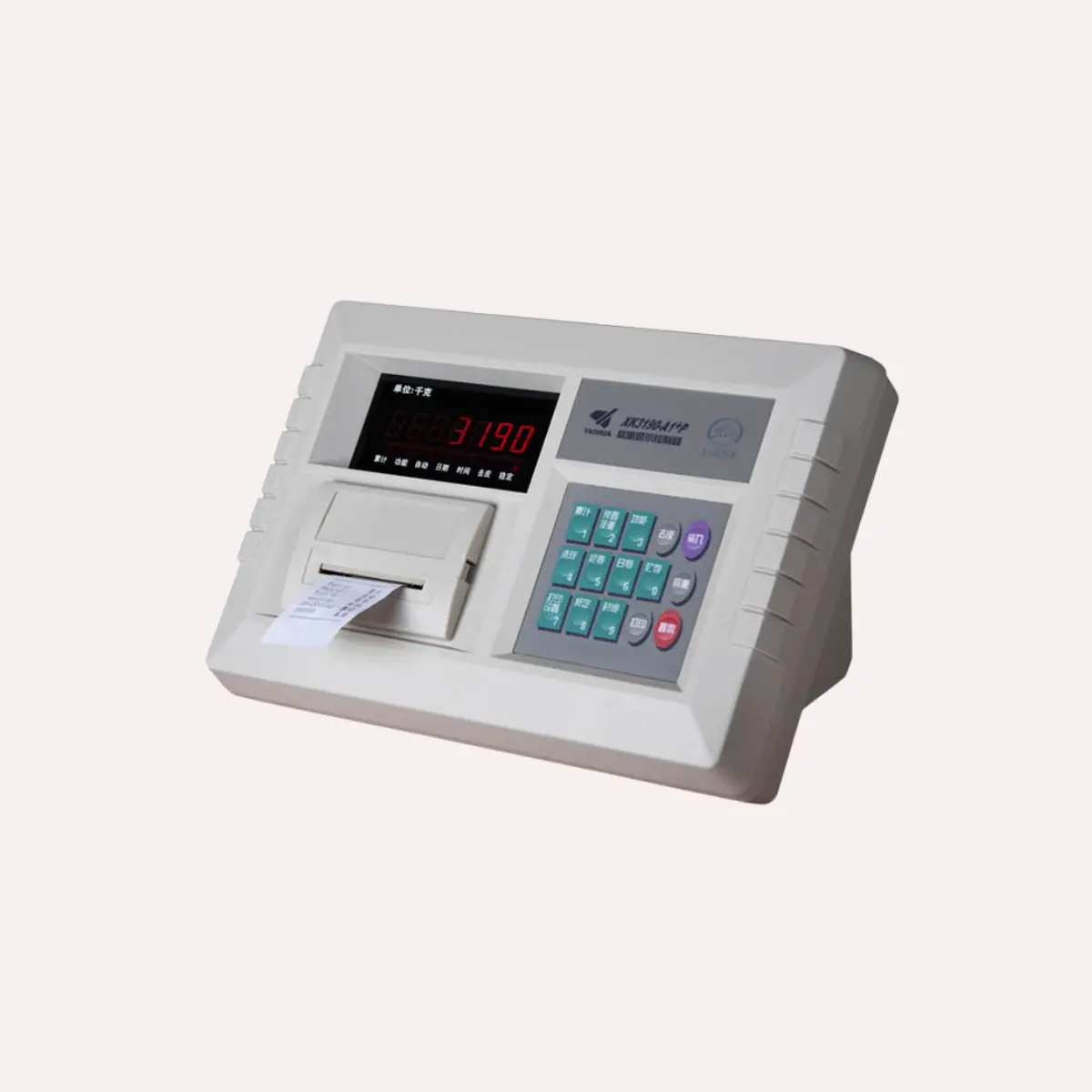 picture of weighing scale printing indicator